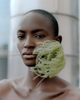 FRANCESCA VIGLIAROLO